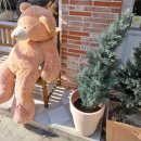 마포안과의원 | 골반통신 : 저능 모드 내가 저능한 건 내 골반이 움직이지 않기 때문일까?