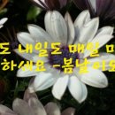 홍지호치과의원 | 주말인데 치과다녀와요.. 15년 단골 장종언치과