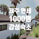 예쁜집좋은땅공인중개사사무소 | [제주도 임대 연세] 1000평 야자수 정원 품은 남원읍 복층 감성숙소! 건축비 0원, 집기류 완비 ! 몸만...