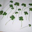 산과들과바다와함께 이미지