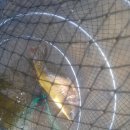 천평지낚시터 이미지