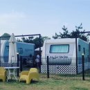 도그베이 이미지