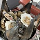 안면도회센타 | 안면도 <풍년회센타> 조개찜맛집 내돈내산 솔직후기 / 좋았던 점, 아쉬웠던 점까지! 🦪