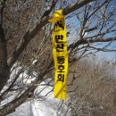금성교 Daum카페