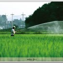 흥농종묘 이미지