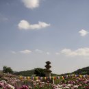 (주)서당 | 5월 경주여행 꽃구경 가볼만한곳 도봉서당 작약 실시간 개화 + 주차장