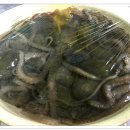 무안세발낙지 이미지