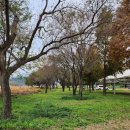 열린행정사사무소 이미지