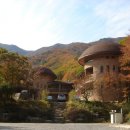 운문산자연휴양림 이미지