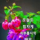 9월9일(목요일)간추린뉴스 이미지