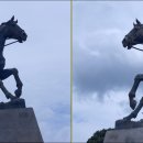 낙성대로 이미지