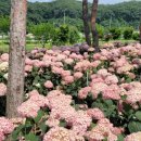 운암애견 이미지