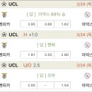 리즈펠리스 이미지