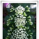 광산구-019 Daum카페