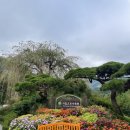 고요목장 | [가평데이트] 아침고요수목원, 가평양떼목장 다녀온 후기