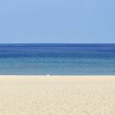 장미의거리12 이미지