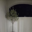 교동펜션 | 강릉펜션 누크 교동 베프와 1박2일 첫 우정여행 후기⭐