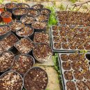 시몬농장 이미지