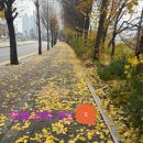 늘도담유치원 이미지