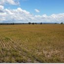 대풍농장 이미지