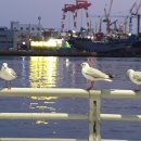 일성횟집 이미지