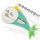 써넥스