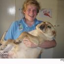 러브애견 이미지