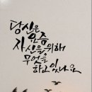 캘리그라피 Daum카페