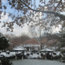 모둘자리 이미지