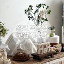 청아 | 셀프 백일상 코알라돌상 프리미엄 청아 대여 후기