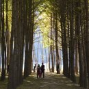 경주숲 3,4 이미지