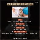 판교종합 동물병원 이미지