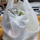 경주 동천동 수향족발가 동네 맛집 반반족발 배달 후기