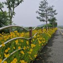 강성주복싱 칠금점 이미지