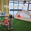 펫라운지카페 | 카시아속초 아기랑 펫이랑, 키즈카페 수유실부터 펫 동반 정보까지