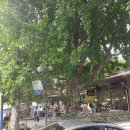 영동화로숯불구이 이미지