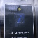 동면교차로 | #1514. 홍대 방탈출 꽃길 상수 놀거리 추천 SF의 탈을 쓴 이머시브 공포테마 서울이스케이프룸 홍대점...