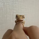 박도리탕 네이버블로그