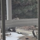 펜션 무이 이미지