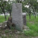 구연정 Daum카페