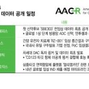 아일리아 네이버블로그