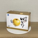 압해도 용마을 이미지