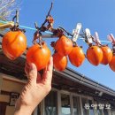 사진마당 Daum카페