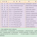 복어의 종류(국립수산과학원) 이미지