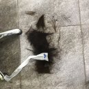 자르세미용실 네이버블로그
