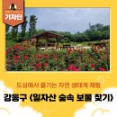 일자산숲속화장실 | [강동구 기자단] 아이와 함께한 특별한 하루, ‘일자산 숲속 보물찾기 체험’ 후기