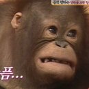 신용공조 이미지