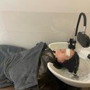 유나식당 | 여의도 1인 미용실 인헤어 여자 스파커트 솔직후기 (유나 디자이너 추천)