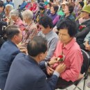 나주시동부노인복지관 | 나주시 동부노인복지관, 어버이날 기념행사 펼쳐