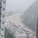 (주)경보